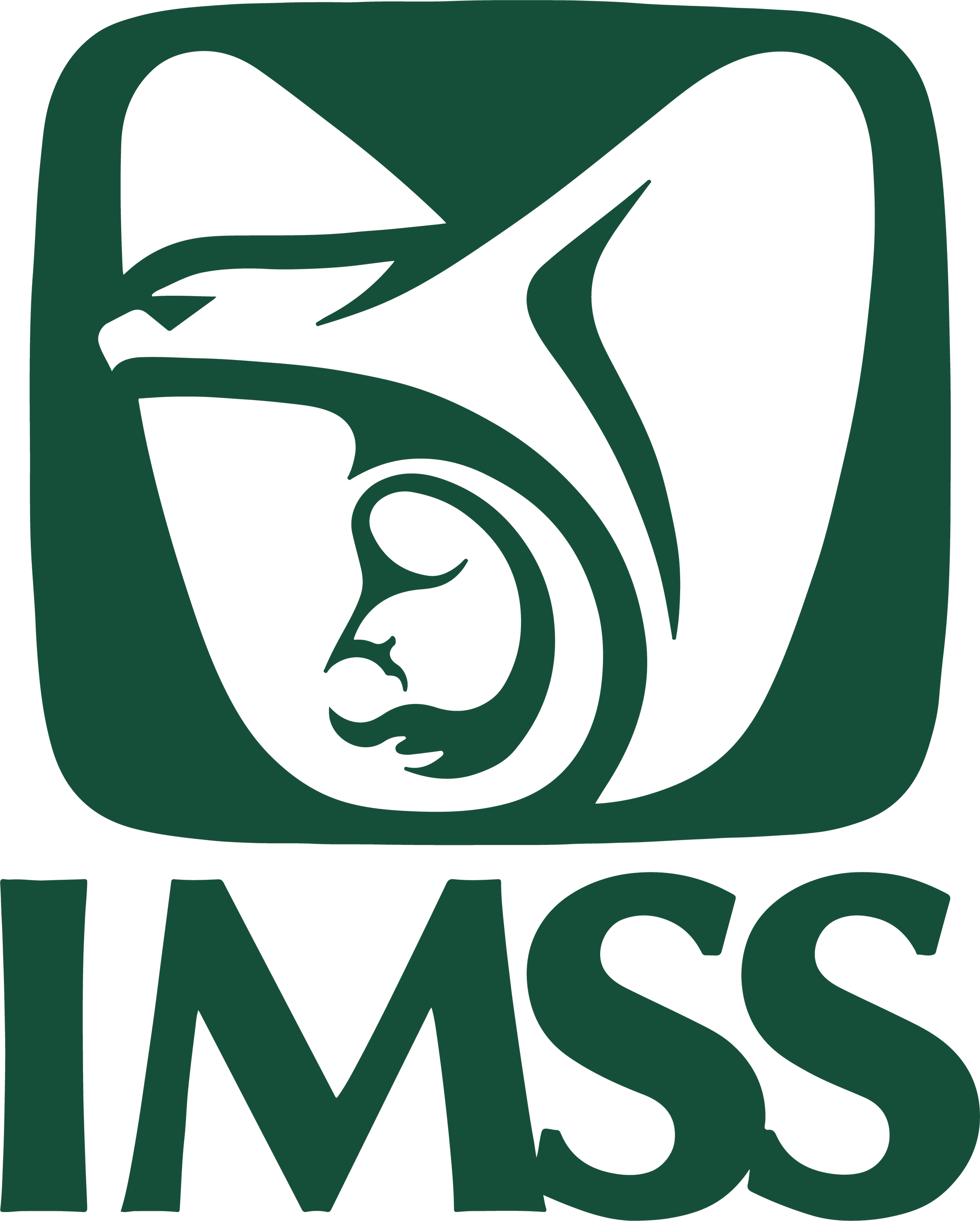 IMSS Mexico logo.