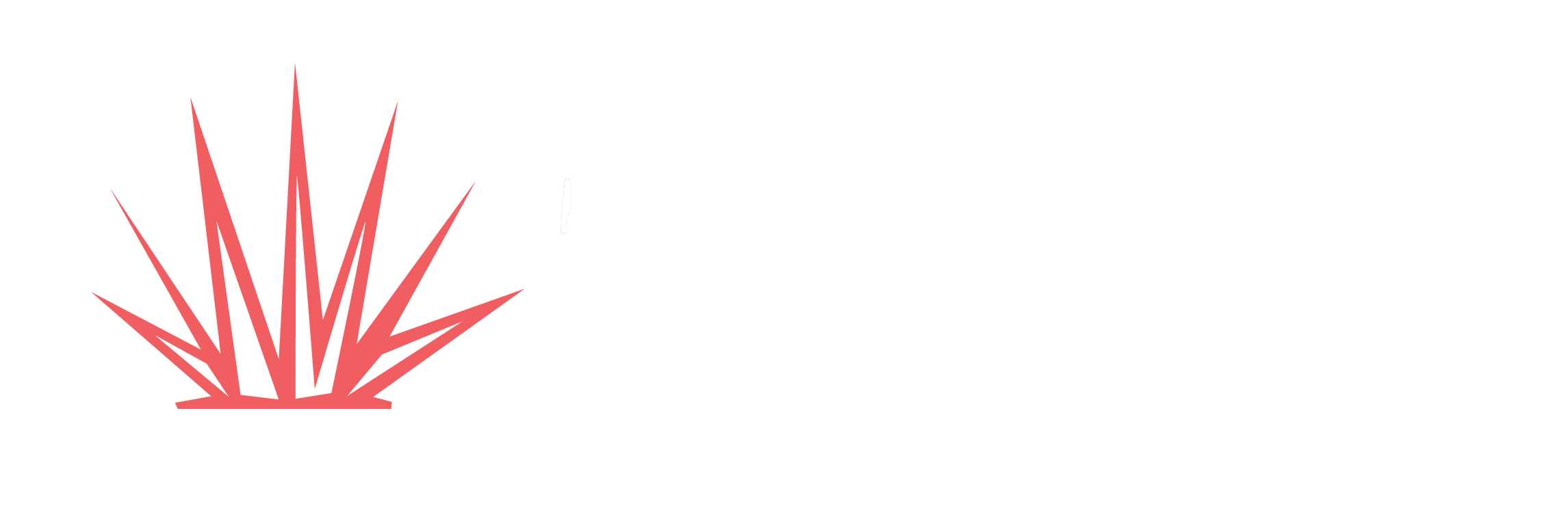 Thirty-Five Agave