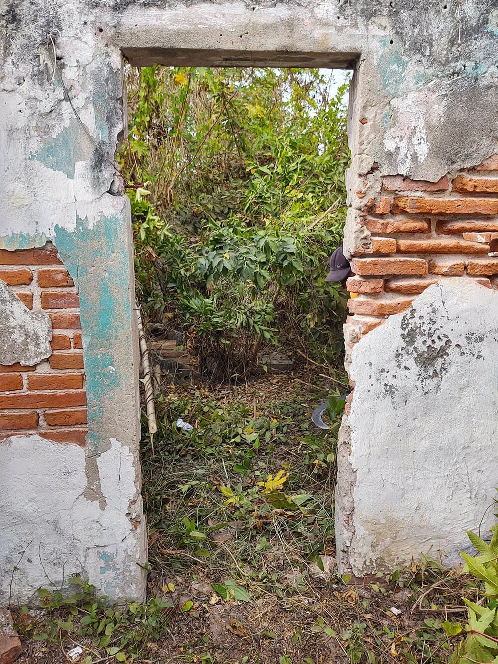 Overgrown doorway before renovation
