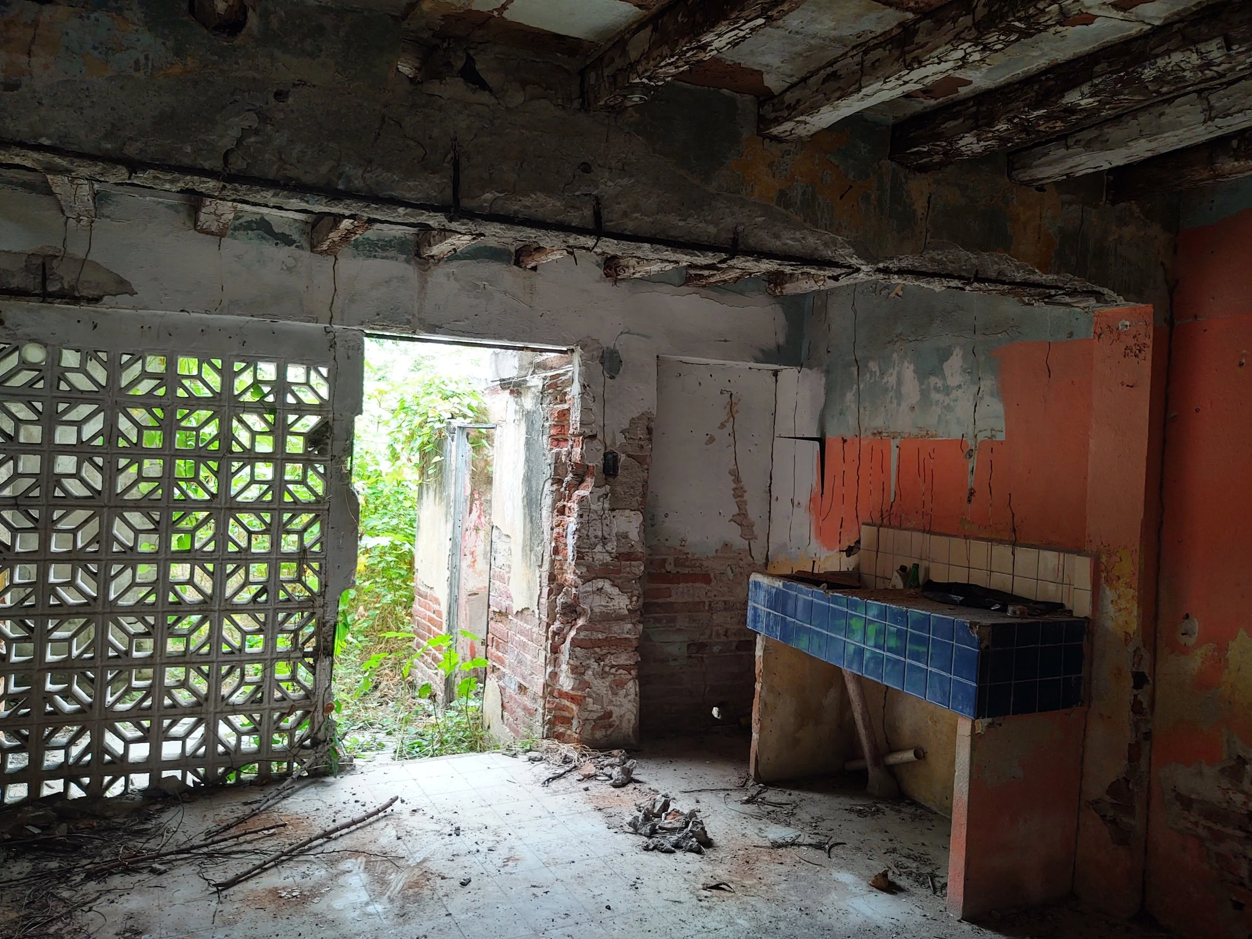Dilapidated interior before renovation